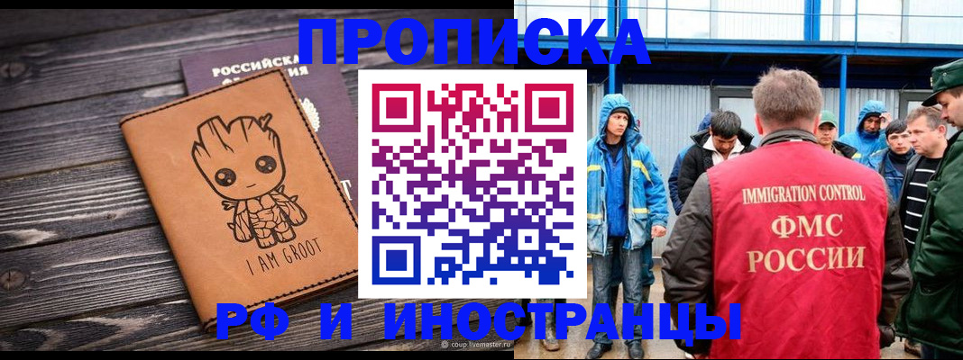 прописка от собственника в Светлогорске